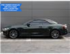 2023 BMW 430i xDrive (Stk: P10325) in Windsor - Image 5 of 25