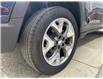2021 Jeep Compass Limited (Stk: P11941) in Winnipeg - Image 19 of 21