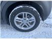 2021 Hyundai Kona 2.0L Essential (Stk: P12081) in Winnipeg - Image 23 of 23