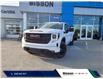 2024 GMC Sierra 1500 Elevation (Stk: 8K24274) in Thetford Mines - Image 1 of 13