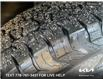 2025 Kia Sorento 2.5T X-Pro w/Black Interior (Stk: 5H0141) in Kamloops - Image 7 of 23