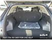 2025 Kia Sportage EX (Stk: 5T0258) in Kamloops - Image 10 of 23