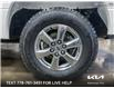 2020 Ford F-150 XLT (Stk: 23P015) in Kamloops - Image 6 of 26