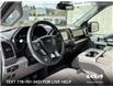 2020 Ford F-150 XLT (Stk: 23P016) in Kamloops - Image 13 of 26
