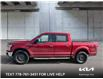 2020 Ford F-150 XLT (Stk: RN515AA) in Kamloops - Image 2 of 34