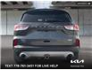2020 Ford Escape SEL (Stk: P5098A) in Kamloops - Image 5 of 26