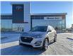 2020 Hyundai Tucson Preferred w/Sun & Leather Package (Stk: 8041) in Moose Jaw - Image 1 of 32