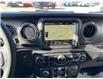 2023 Jeep Wrangler Sport (Stk: 5P031) in Medicine Hat - Image 13 of 13