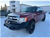 2013 Ford F-150 XLT (Stk: 22042C) in Wilkie - Image 3 of 21