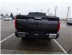 2023 Toyota Tundra Limited (Stk: TUP031) in Lloydminster - Image 14 of 20