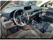 2025 Mazda CX-5 GS (Stk: YS229) in Kamloops - Image 13 of 25