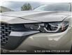 2025 Mazda CX-50 GS-L (Stk: AS255) in Kamloops - Image 8 of 25