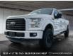 2017 Ford F-150 XLT (Stk: MP544A) in Kamloops - Image 1 of 23