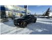2023 Hyundai Santa Cruz Trend (Stk: N048333) in Calgary - Image 1 of 8