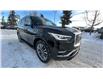 2019 Infiniti QX80 Limited 7 Passenger (Stk: P226721) in Calgary - Image 10 of 35