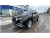 2023 Hyundai Tucson Preferred (Stk: N216301) in Calgary - Image 2 of 9