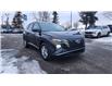 2022 Hyundai Tucson Preferred (Stk: N023478) in Calgary - Image 11 of 24