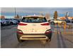 2023 Hyundai Kona 2.0L Preferred Sun & Leather Package (Stk: N005621) in Calgary - Image 5 of 13