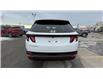 2023 Hyundai Tucson Preferred (Stk: N216996) in Calgary - Image 4 of 14