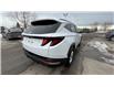 2022 Hyundai Tucson Preferred (Stk: N025524) in Calgary - Image 6 of 18