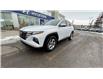 2023 Hyundai Tucson ESSENTIAL (Stk: N217284) in Calgary - Image 2 of 17