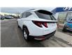 2023 Hyundai Tucson ESSENTIAL (Stk: N217284) in Calgary - Image 4 of 17