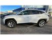 2023 Hyundai Tucson Preferred (Stk: N217339) in Calgary - Image 2 of 9