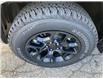 2022 Jeep Cherokee Trailhawk (Stk: 22167) in Keswick - Image 9 of 28