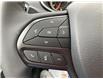 2022 Jeep Cherokee Trailhawk (Stk: 22192) in Keswick - Image 19 of 28
