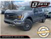 2023 Ford F-150 Tremor (Stk: 267714) in Brooks - Image 1 of 29