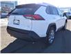 2023 Toyota RAV4 XLE (Stk: RAP055) in Lloydminster - Image 14 of 17