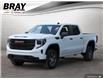 2025 GMC Sierra 1500 Pro (Stk: 25637) in Orangeville - Image 1 of 32