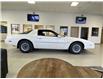 1983 Pontiac Firebird  (Stk: 247223) in Brooks - Image 6 of 18