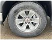 2023 GMC Sierra 1500 Pro (Stk: 237039) in Waterloo - Image 6 of 19