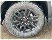 2023 GMC Sierra 1500 Elevation (Stk: 237035) in Waterloo - Image 6 of 20