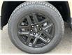 2023 Chevrolet Silverado 1500 Custom Trail Boss (Stk: 238017) in Waterloo - Image 6 of 19