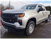 2022 Chevrolet Silverado 1500 Work Truck (Stk: 22184) in Green Valley - Image 1 of 18