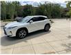 2017 Lexus RX 350  in Saskatoon - Image 1 of 9