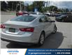 2020 Chevrolet Malibu 1FL (Stk: 3004A) in Maniwaki - Image 4 of 18