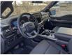 2023 Ford F-150 XLT (Stk: 0T3074) in Kamloops - Image 13 of 26