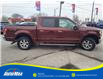 2016 Ford F-150 Lariat (Stk: B1309) in Sarnia - Image 4 of 30
