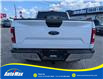 2020 Ford F-150 XLT (Stk: B1678) in Sarnia - Image 6 of 28