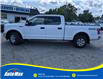 2020 Ford F-150 XLT (Stk: B1678) in Sarnia - Image 8 of 28