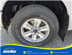 2020 Ford F-150 XLT (Stk: B1678) in Sarnia - Image 10 of 28