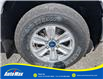 2020 Ford F-150 XLT (Stk: B1678) in Sarnia - Image 11 of 28