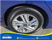 2020 Hyundai Elantra Preferred (Stk: B1640) in Sarnia - Image 12 of 27