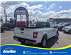 2019 Ford F-150 XL (Stk: A9982) in Sarnia - Image 5 of 29