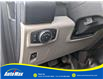 2019 Ford F-150 XL (Stk: A9982) in Sarnia - Image 18 of 29