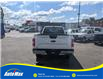 2019 Ford F-150 XL (Stk: B1042) in Sarnia - Image 6 of 29