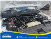 2019 Ford F-150 XL (Stk: B1042) in Sarnia - Image 14 of 29